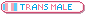 Trans Male